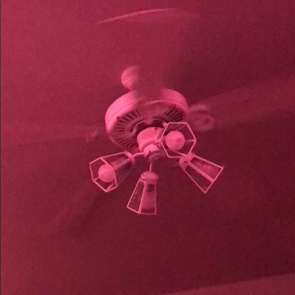 my all inclusive fan that comes w 4 light bulbs